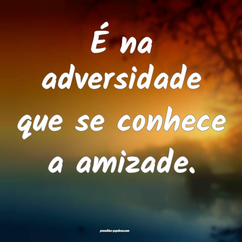 É na adversidade que se conhece a amizade.
...
