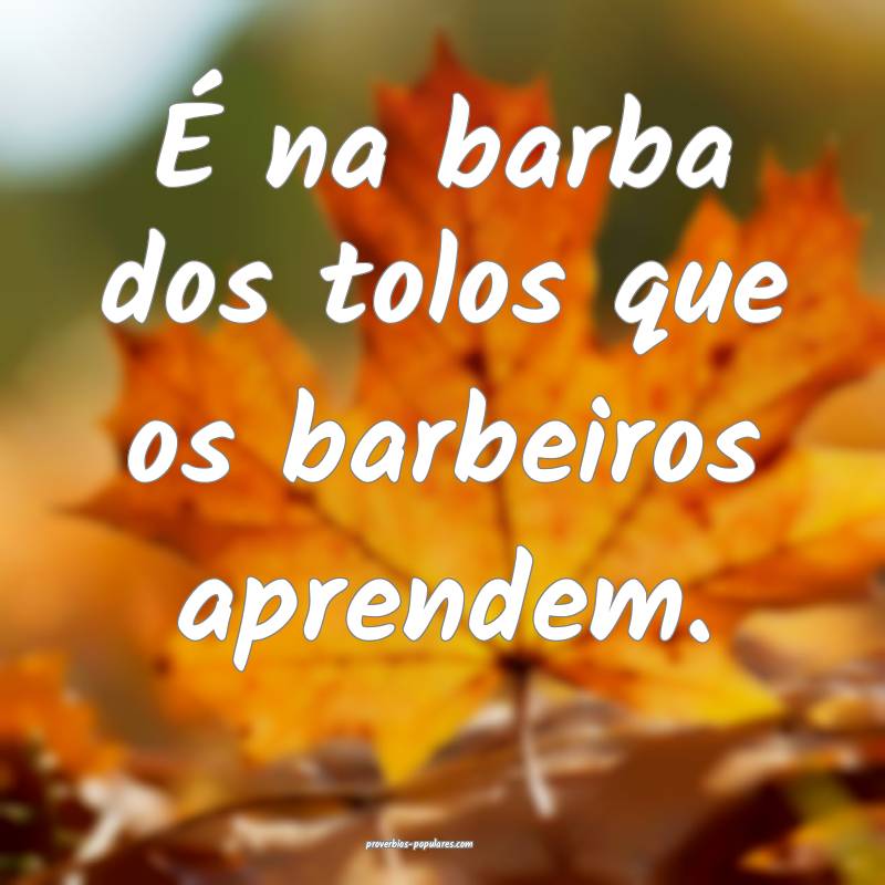 É na barba dos tolos que os barbeiros aprendem.
 ...