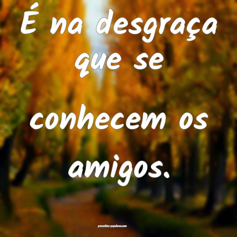 É na desgraça que se conhecem os amigos.
...