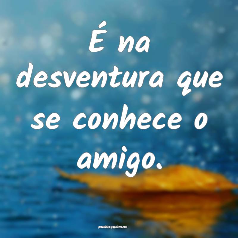 É na desventura que se conhece o amigo.
...