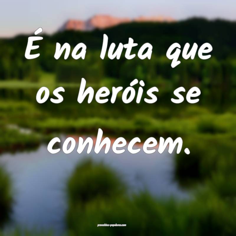 É na luta que os heróis se conhecem.
...