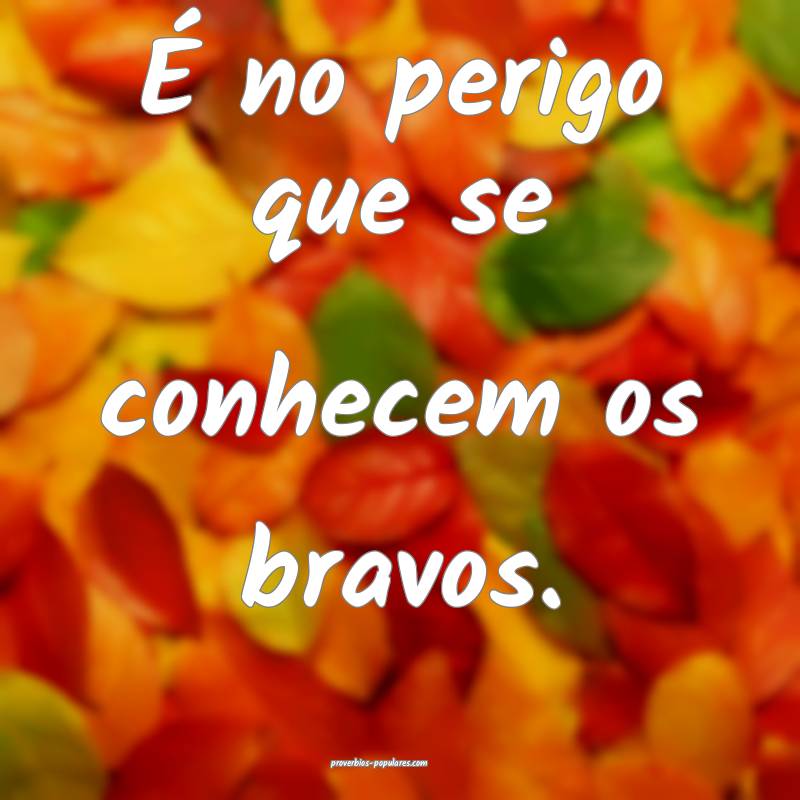 É no perigo que se conhecem os bravos.
...