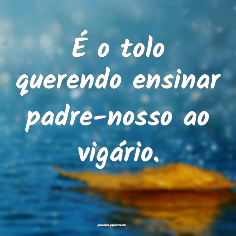 É o tolo querendo ensinar padre-nosso ao vigário ...