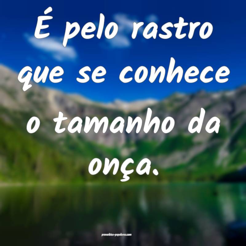 É pelo rastro que se conhece o tamanho da onça.
...