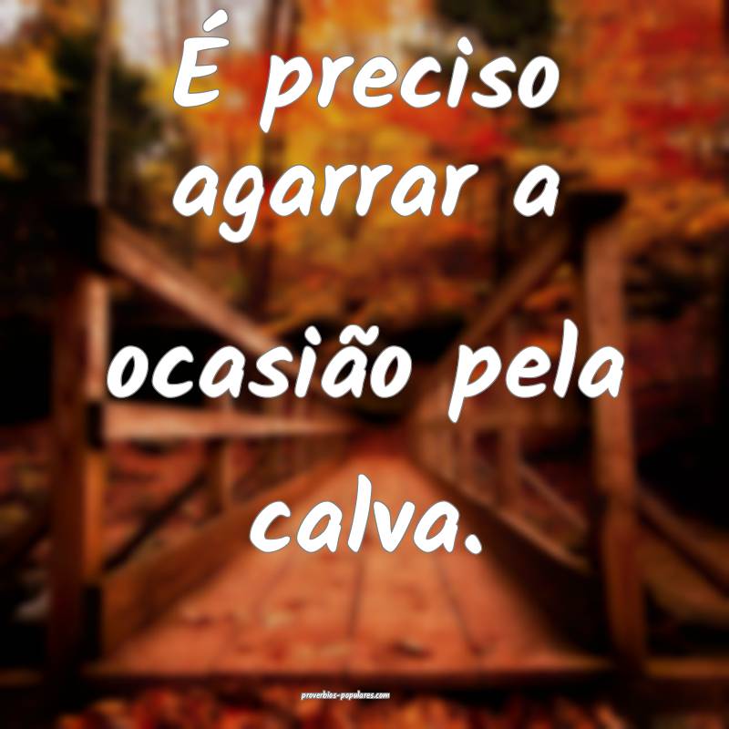 É preciso agarrar a ocasião pela calva.
...