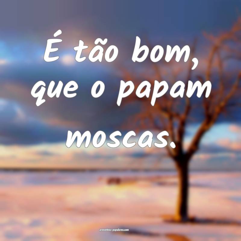 É tão bom, que o papam moscas.
...