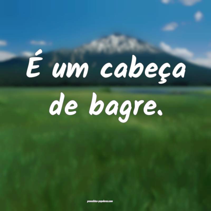 É um cabeça de bagre.
...