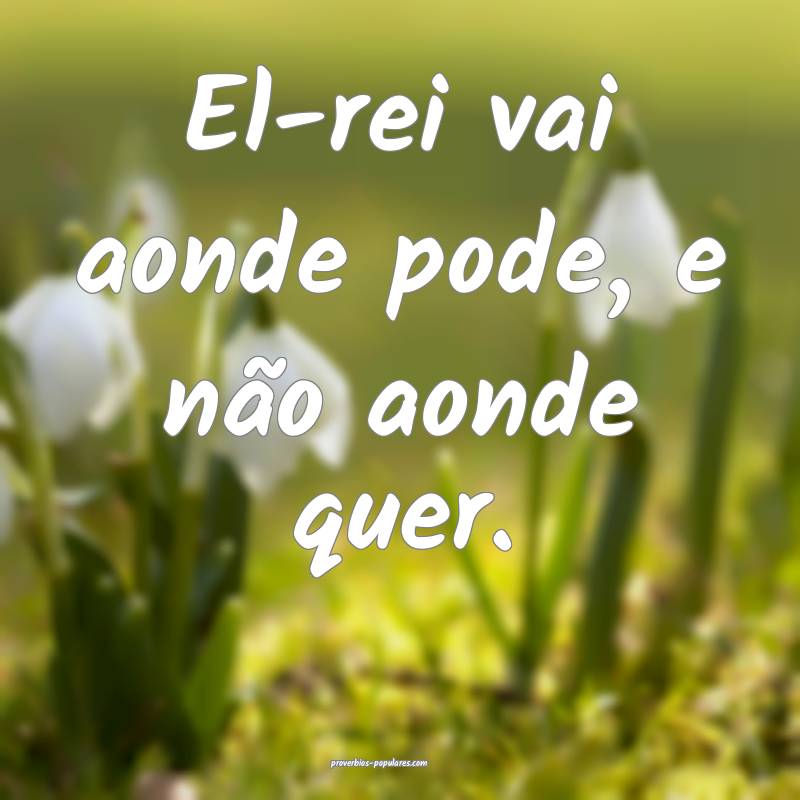 El-rei vai aonde pode, e não aonde quer.
...