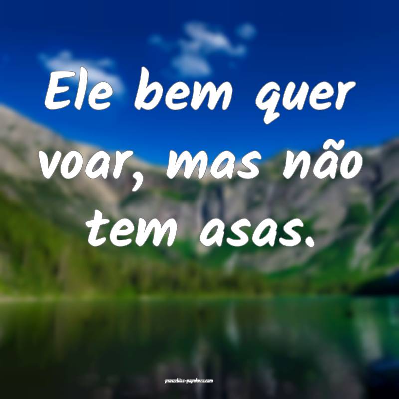 Ele bem quer voar, mas não tem asas.
...