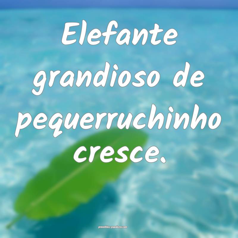 Elefante grandioso de pequerruchinho cresce.
...