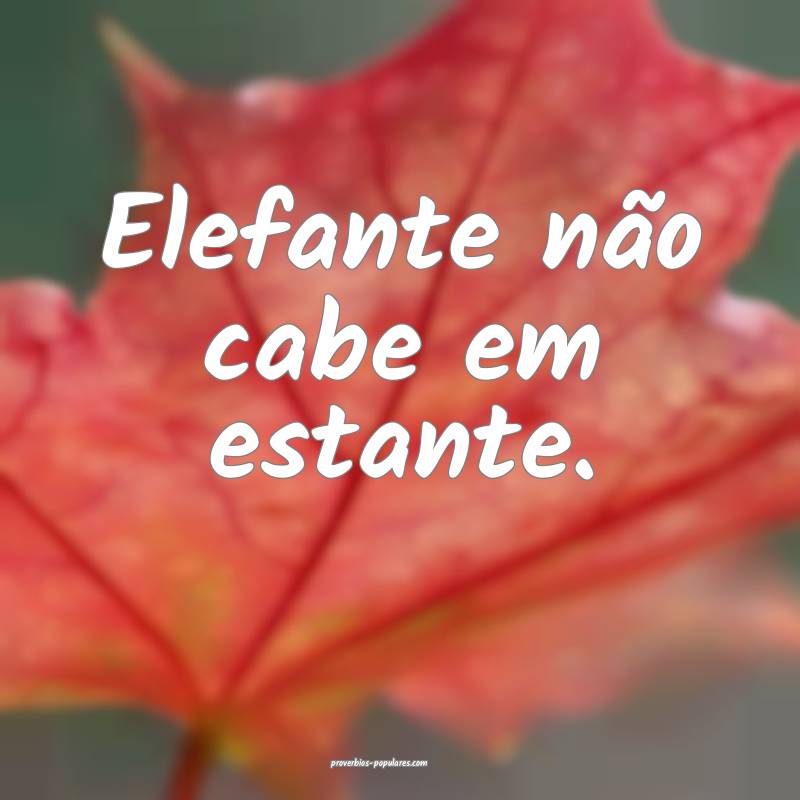 Elefante não cabe em estante.
 ...
