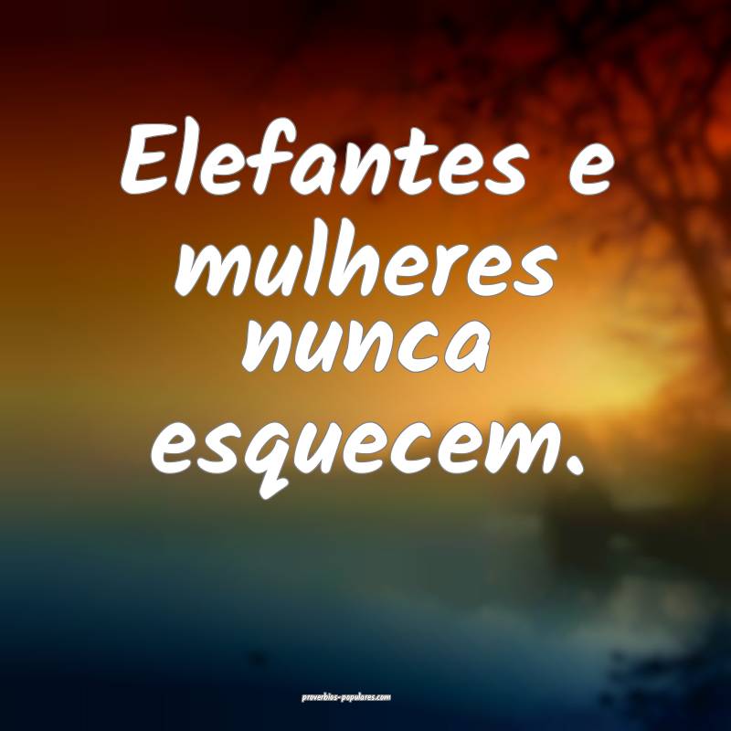 Elefantes e mulheres nunca esquecem.
...