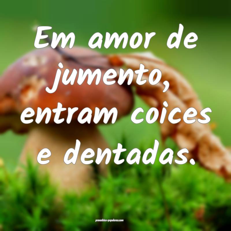 Em amor de jumento, entram coices e dentadas.
...
