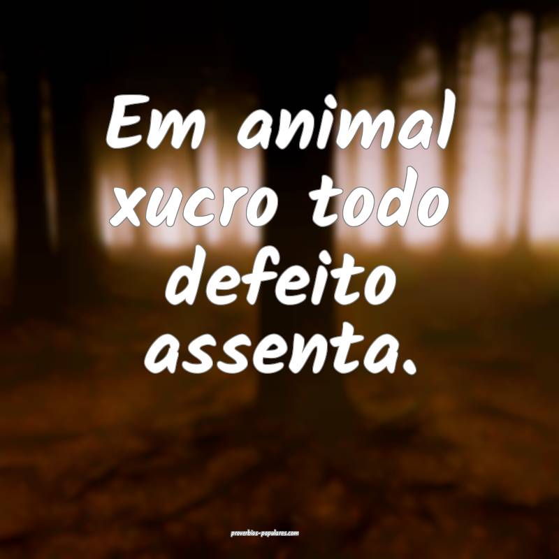 Em animal xucro todo defeito assenta.
...