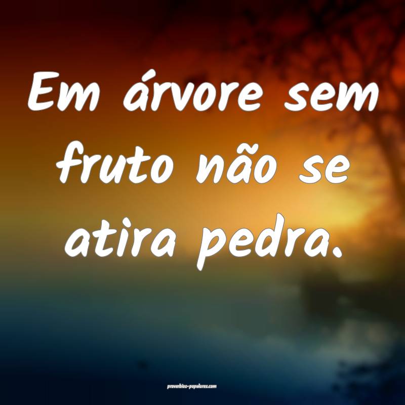 Em árvore sem fruto não se atira pedra.
...
