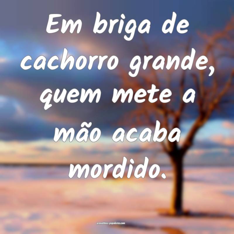 Em briga de cachorro grande, quem mete a mão acaba mordido.
...