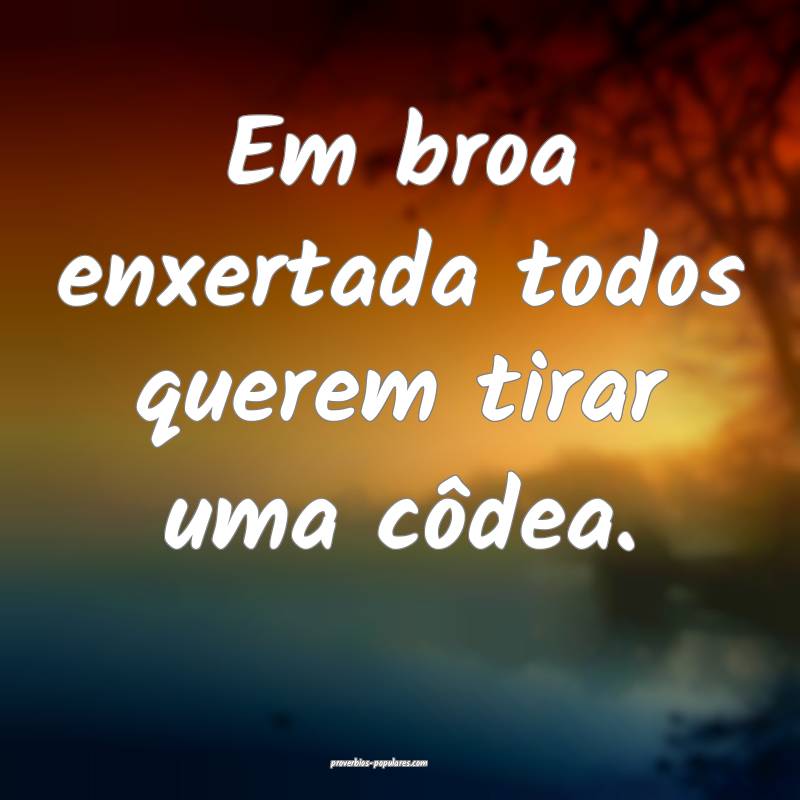 Em broa enxertada todos querem tirar uma côdea.
...
