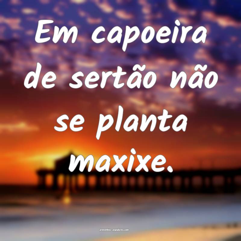 Em capoeira de sertão não se planta maxixe.
...