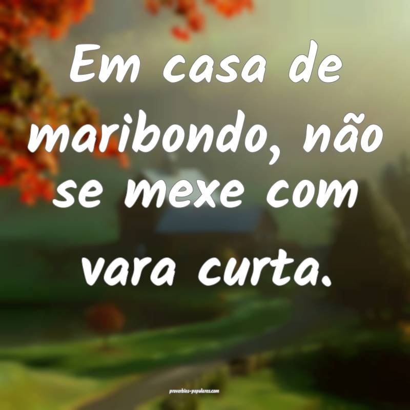 Em casa de maribondo, não se mexe com vara curta.
...