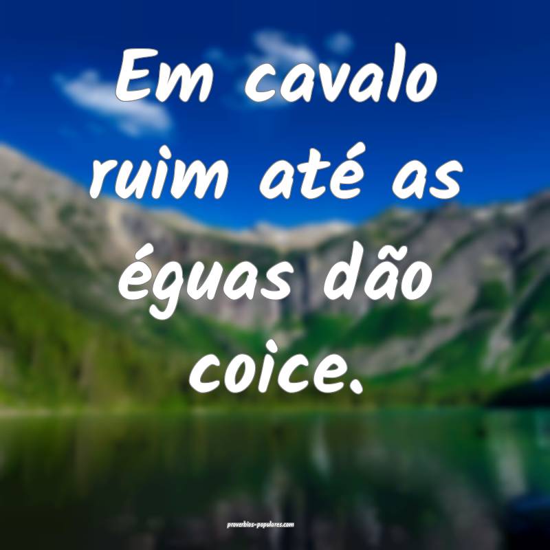 Em cavalo ruim até as éguas dão coice.
...