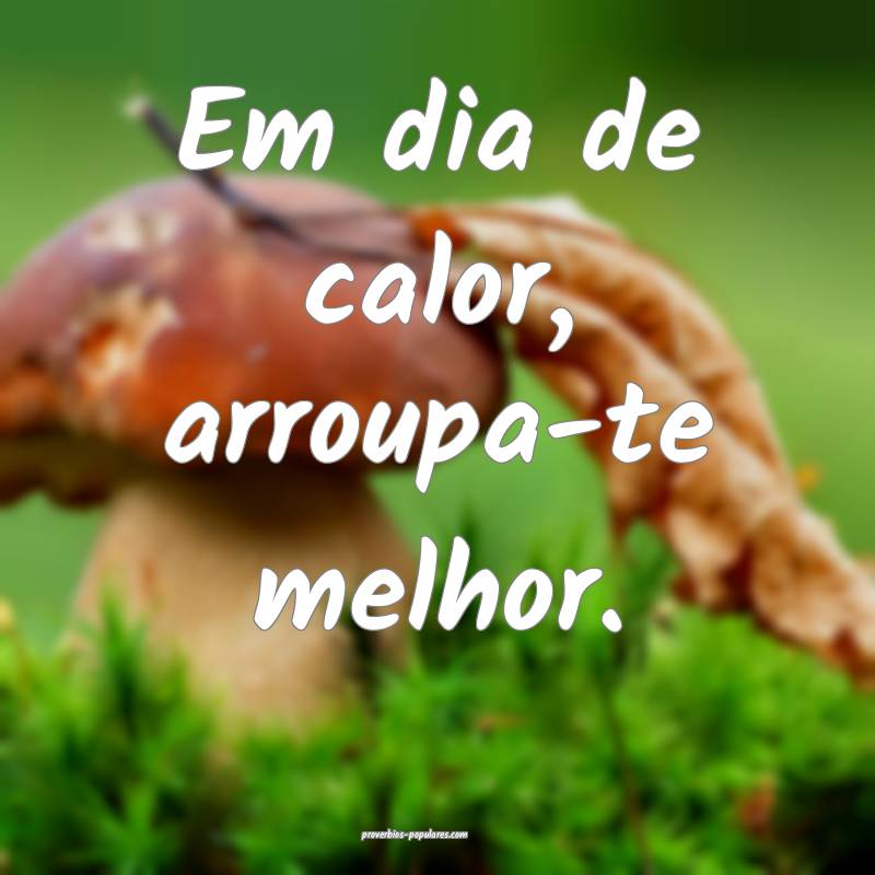 Em dia de calor, arroupa-te melhor.
...