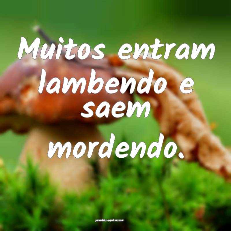 Muitos entram lambendo e saem mordendo. 
...