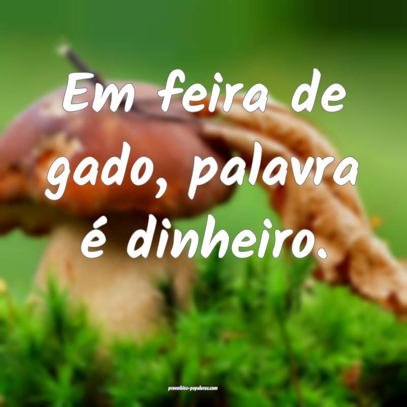 Em feira de gado, palavra é dinheiro.
...