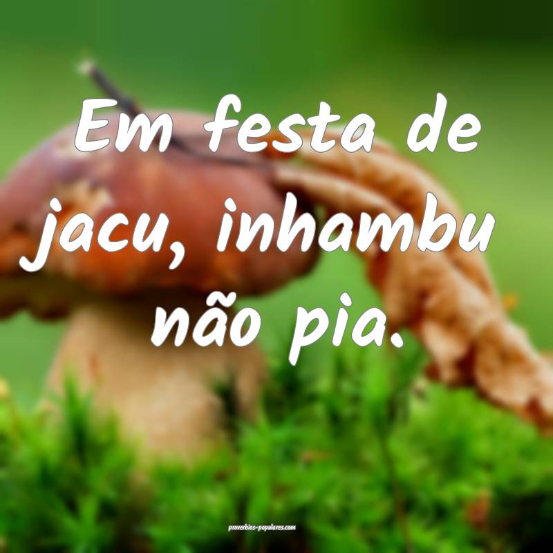 Em festa de jacu, inhambu não pia.
...