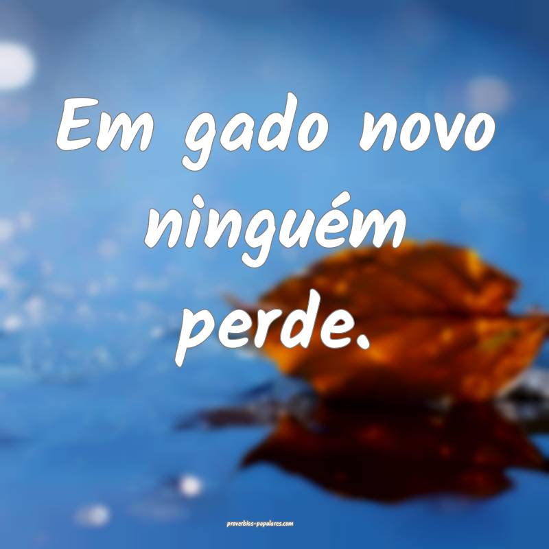 Em gado novo ninguém perde.
...