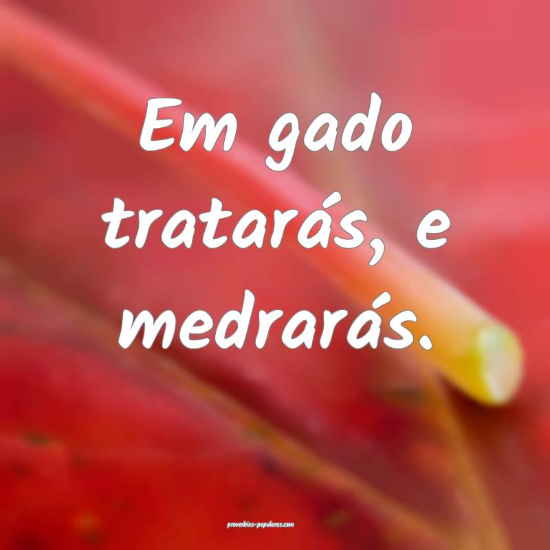 Em gado tratarás, e medrarás.
 ...