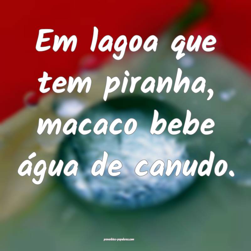 Em lagoa que tem piranha, macaco bebe água de canudo.
...