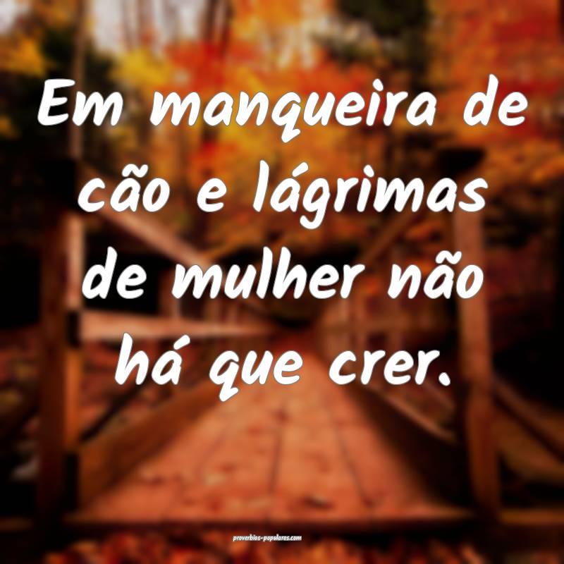 Em manqueira de cão e lágrimas de mulher não há que crer.
...