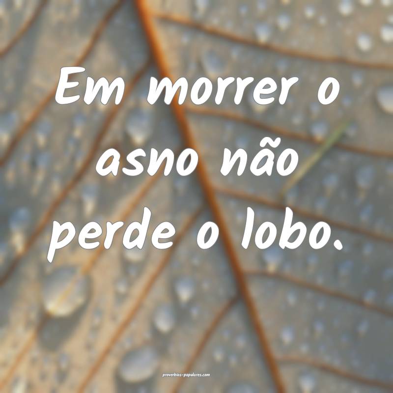 Em morrer o asno não perde o lobo.
 ...