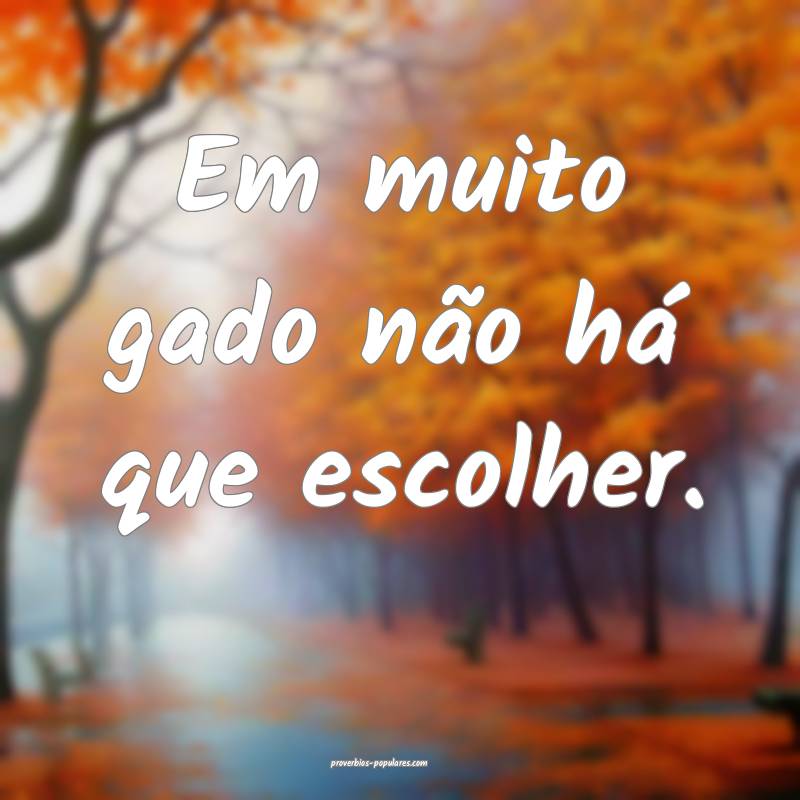 Em muito gado não há que escolher.
...