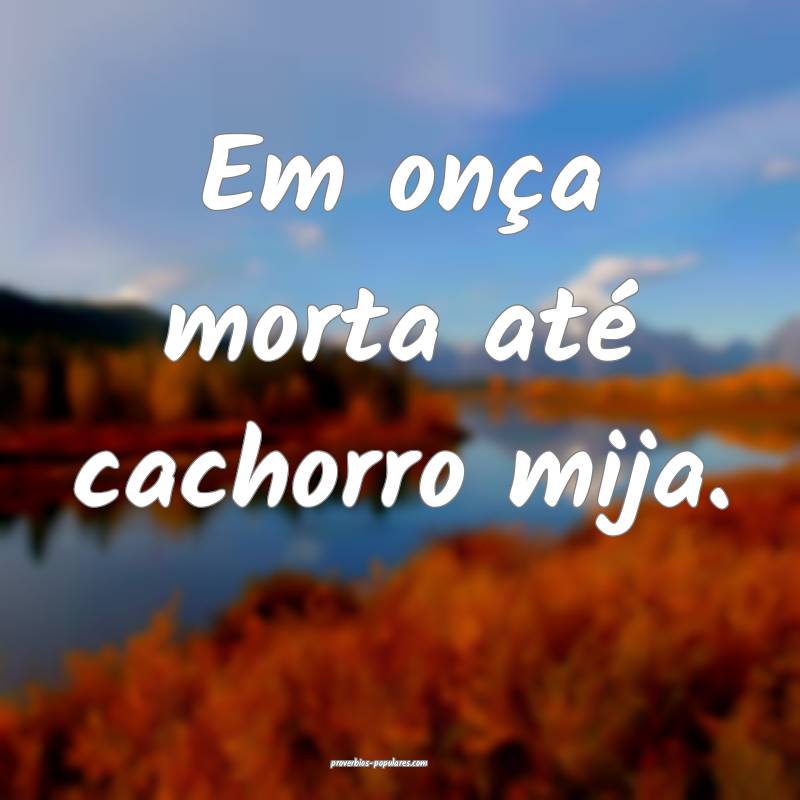 Em onça morta até cachorro mija.
...