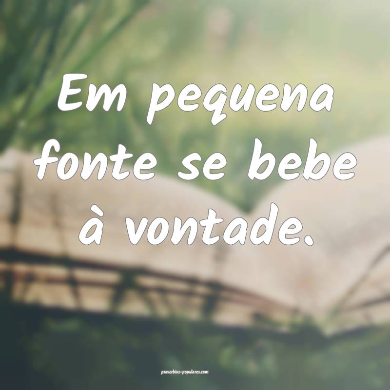 Em pequena fonte se bebe à vontade.
...