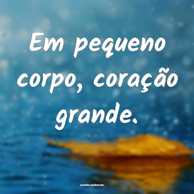 Em pequeno corpo, coração grande.
...