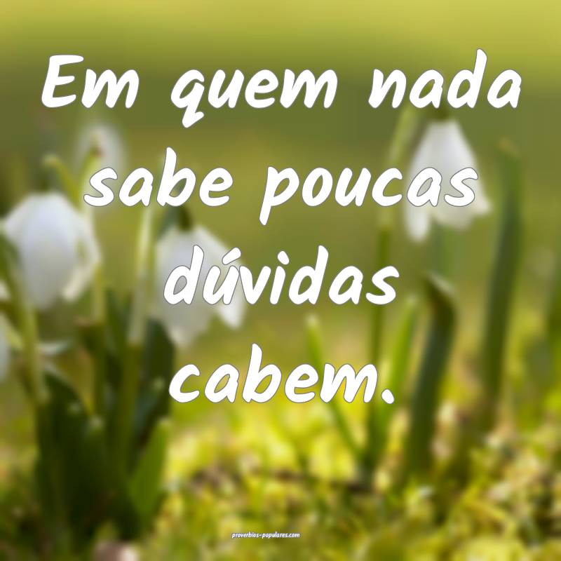Em quem nada sabe poucas dúvidas cabem.
...