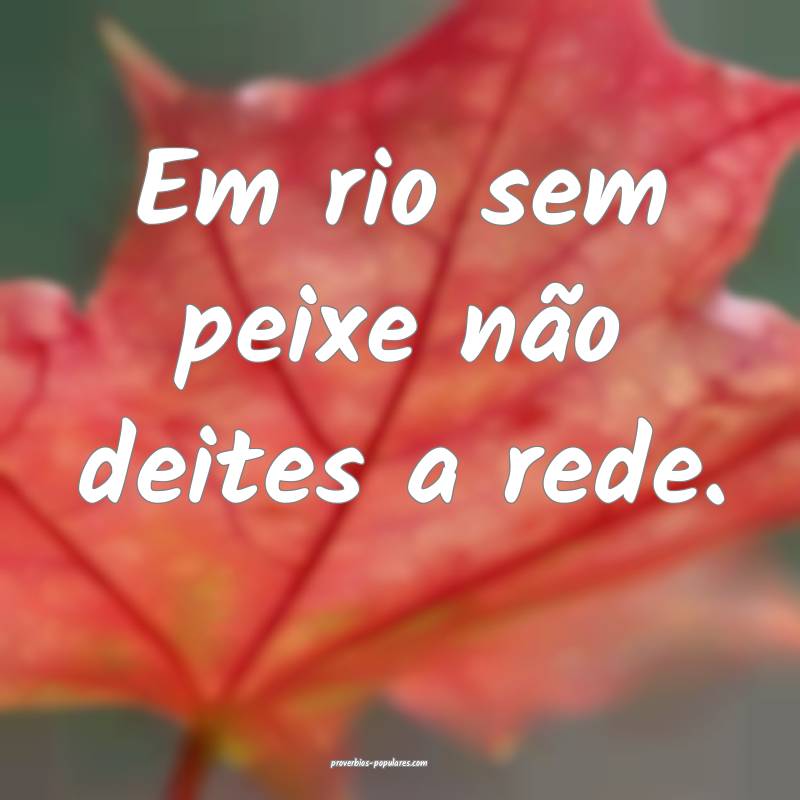 Em rio sem peixe não deites a rede.
 ...