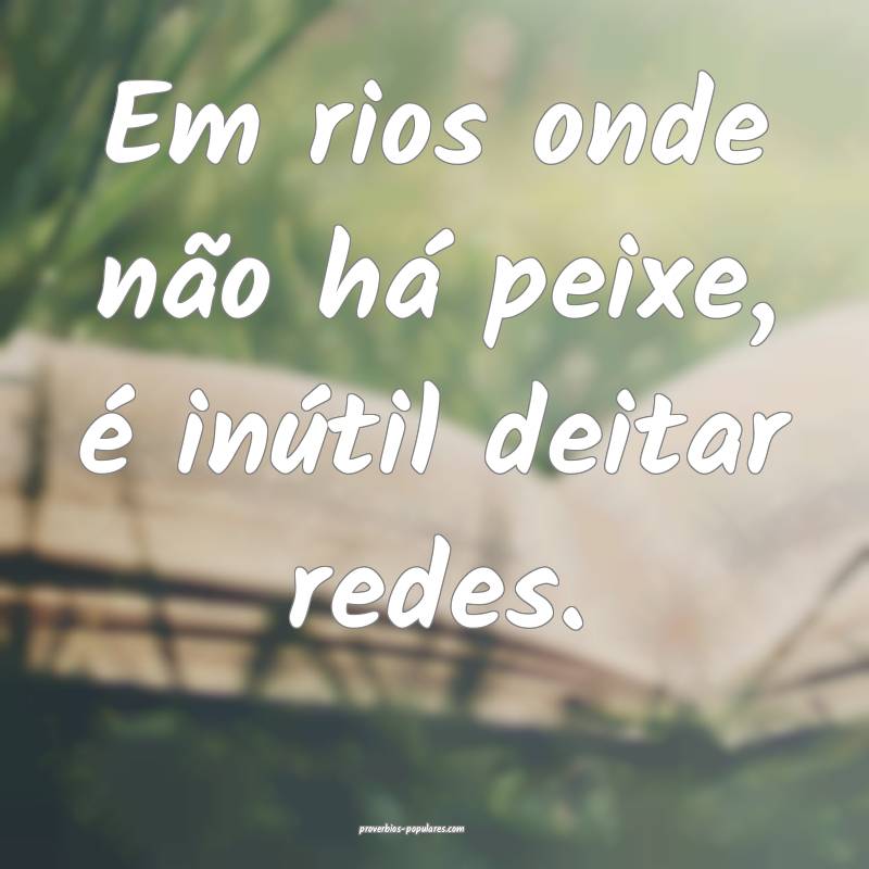 Em rios onde não há peixe, é inútil deitar redes.
...
