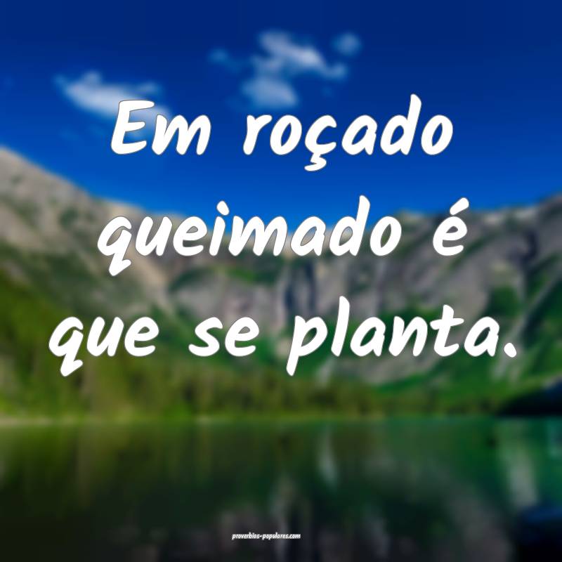 Em roçado queimado é que se planta.
...