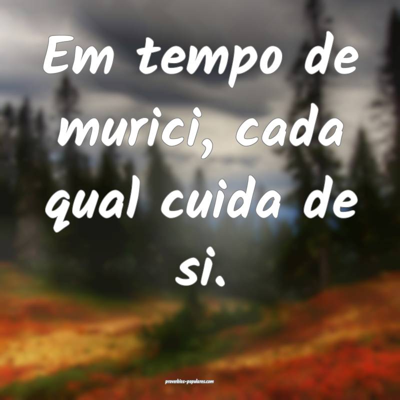 Em tempo de murici, cada qual cuida de si.
...