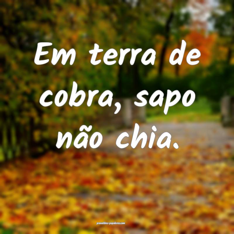Em terra de cobra, sapo não chia.
...