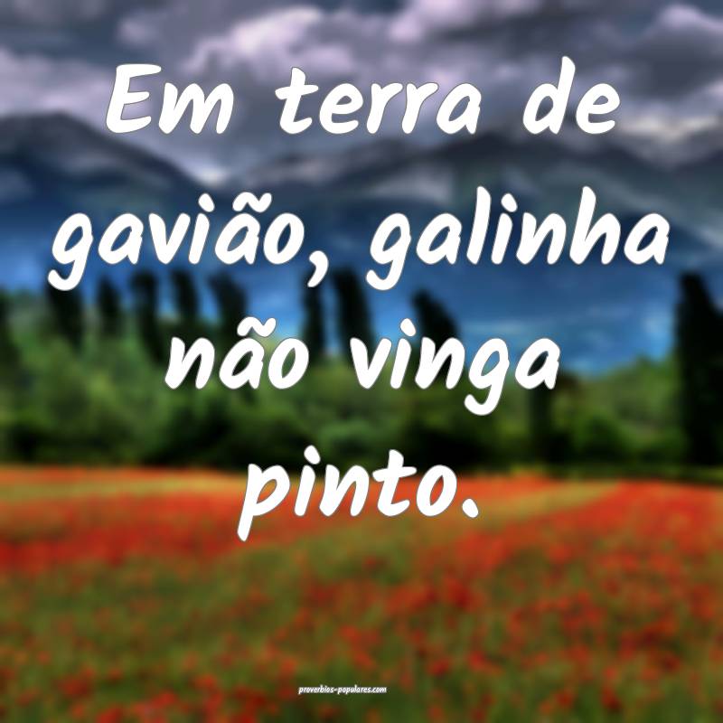 Em terra de gavião, galinha não vinga pinto.
...