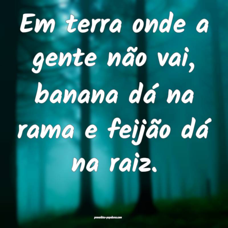 Em terra onde a gente não vai, banana dá na rama e feijão dá na ra...
