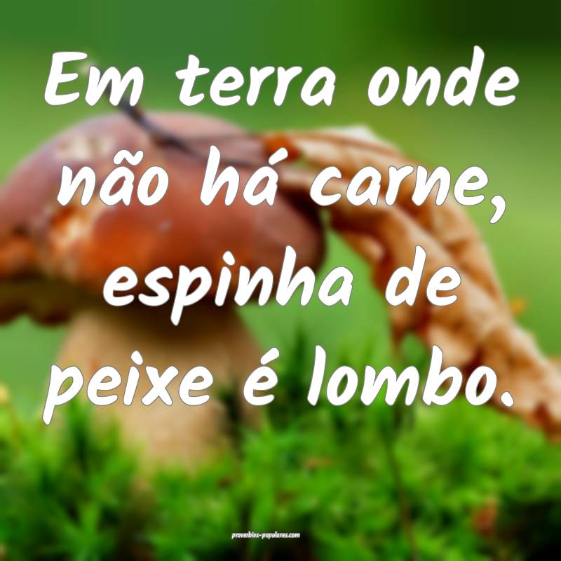 Em terra onde não há carne, espinha de peixe é lombo.
...