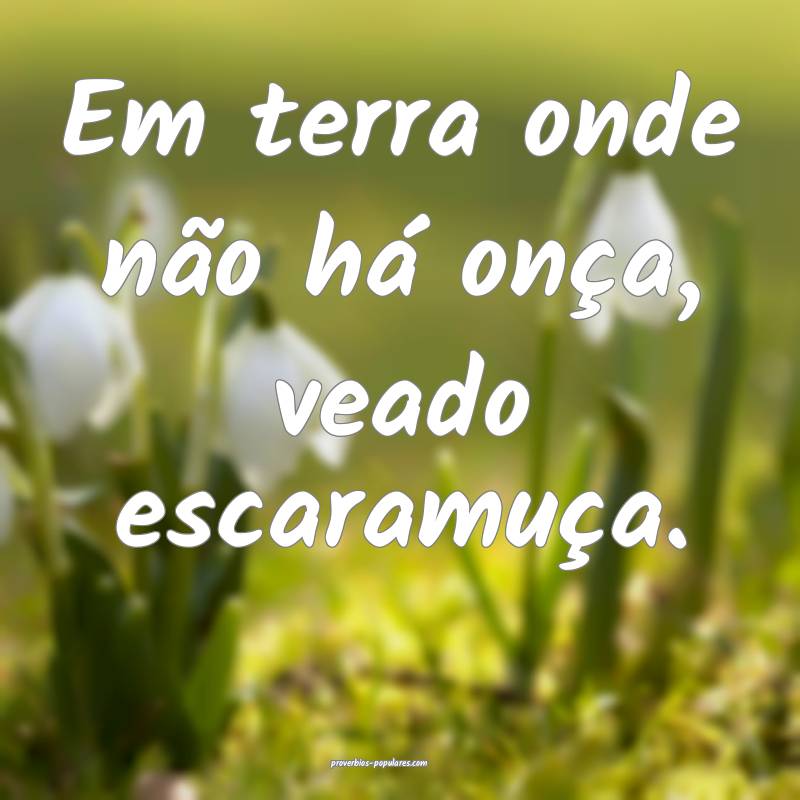 Em terra onde não há onça, veado escaramuça.
...