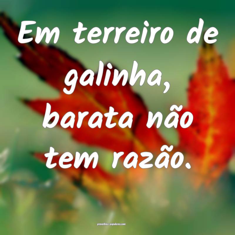 Em terreiro de galinha, barata não tem razão.
 ...