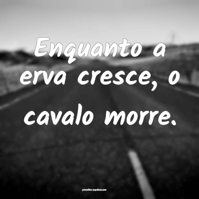 Enquanto a erva cresce, o cavalo morre.
...