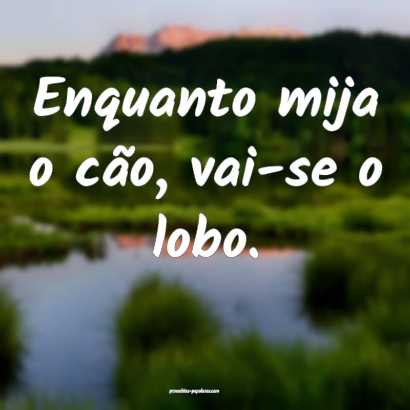 Enquanto mija o cão, vai-se o lobo.
...
